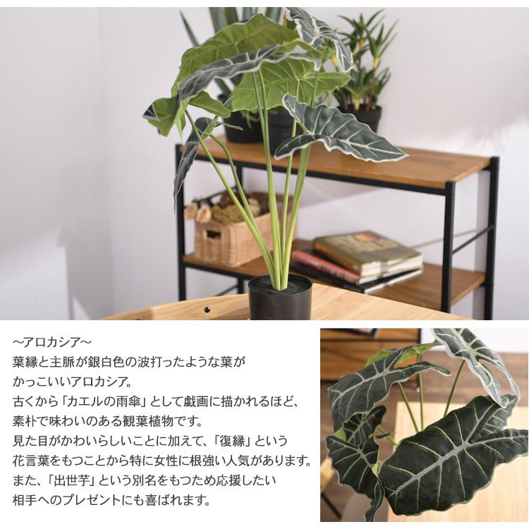【フェイクグリーン】Brown. ブラウン アロカシア プランターカバー付き 観葉植物 フェイクグリーン インテリアグリーン 北欧 ンテリア Brown
