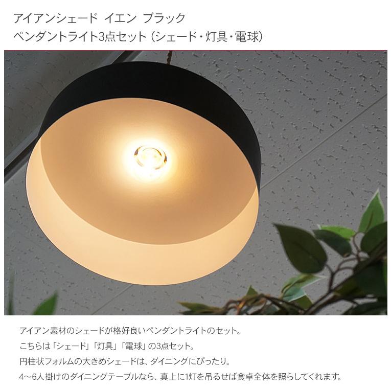 天井照明 インテリア照明 照明器具 北欧 インテリア アイアン 