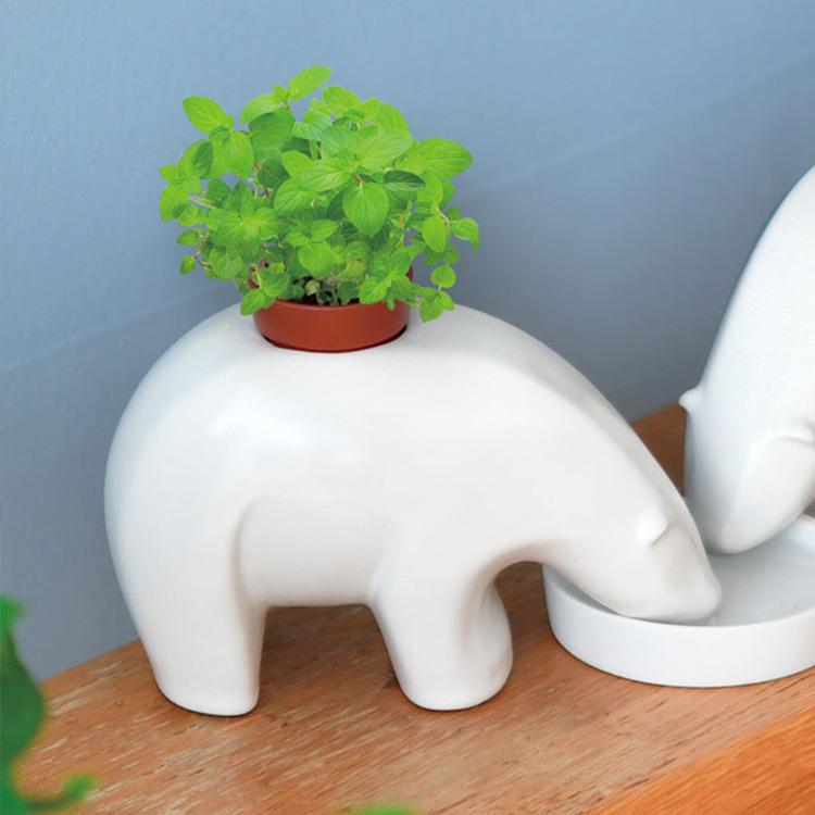 ガーデニング 栽培キット 室内 家庭菜園 ハーブ 育てる おしゃれ