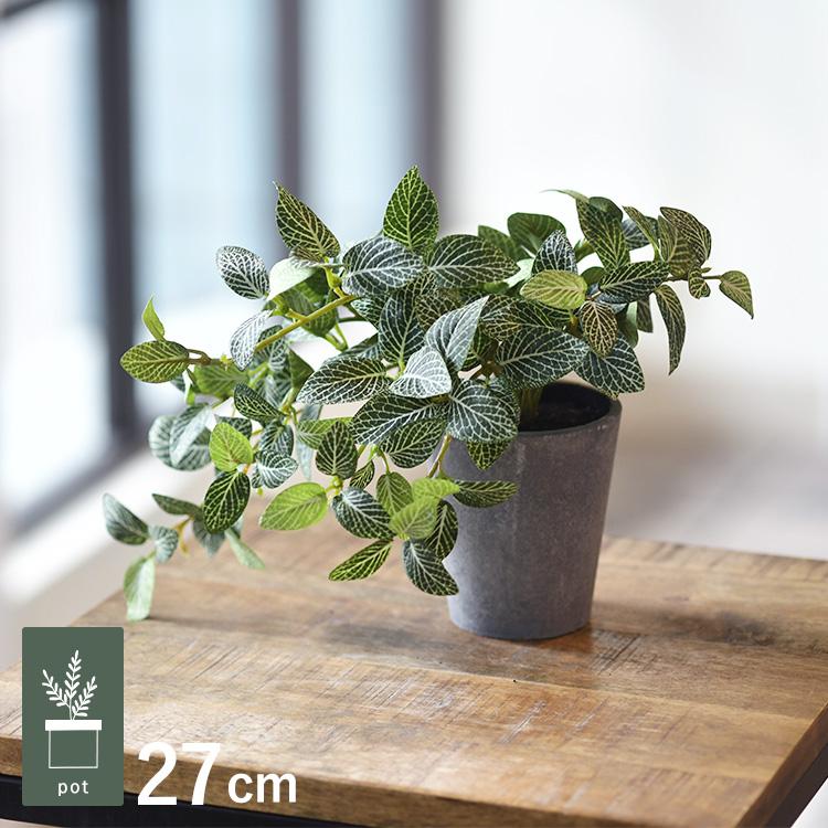 一点もの 希少 フェイクグリーン 観葉植物 インテリア Amazon｜[S.T.S.G] フェイクグリーン 4点セット 人工観葉植物