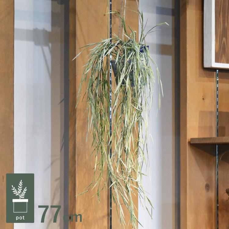 観葉植物 フェイクグリーン インテリアグリーン リラックス 造花