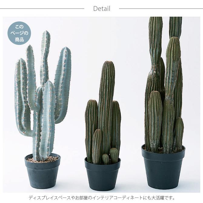 観葉植物 フェイクグリーン インテリアグリーン 多肉植物 サボテン