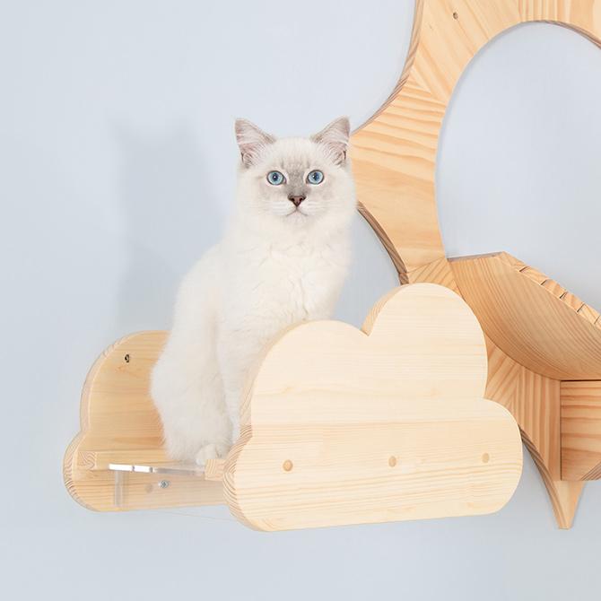 猫 キャットステップ キャットウォーク 壁付け 壁掛け MYZOO マイズー
