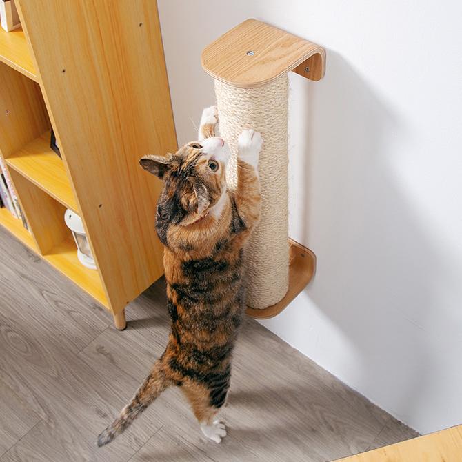 myzoo マイズー　キャットウォーク　爪とぎ　プレーン 猫 爪とぎ キャットウォーク つめとぎ ツメトギ MYZOO マイズー