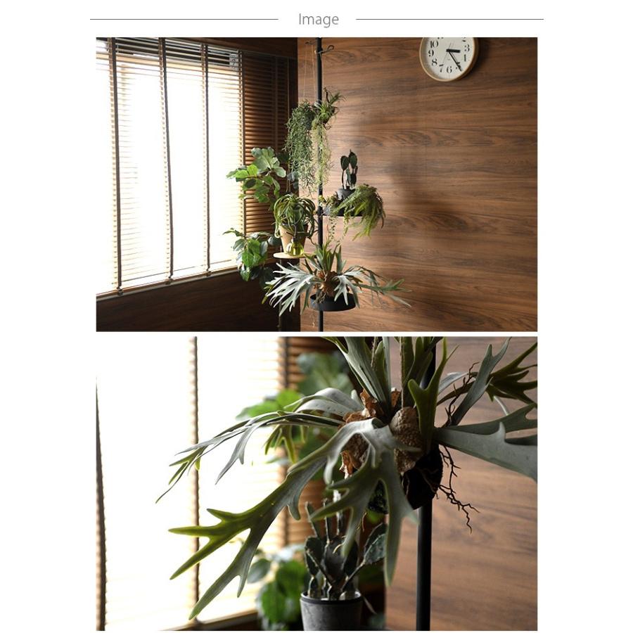 人工観葉植物 造花 フェイクグリーン 観葉植物 Brown ブラウン ビカクシダ ハンギングボール 46 Ga 112 Rooming 通販 Yahoo ショッピング
