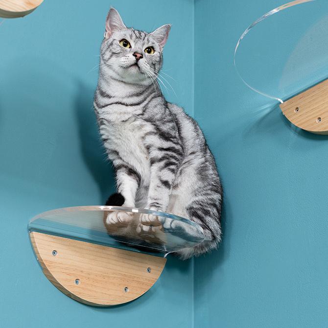 猫 キャットステップ キャットウォーク 壁付け 壁掛け MYZOO マイズー