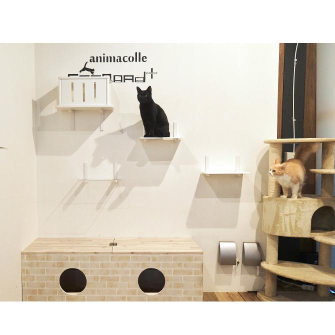 まとめ売り　キャットステップ CAT ROAD + 6枚　キャットトンネル1つ 猫 賃貸 小さい穴 キャットステップ トンネル キャットタワー キャット