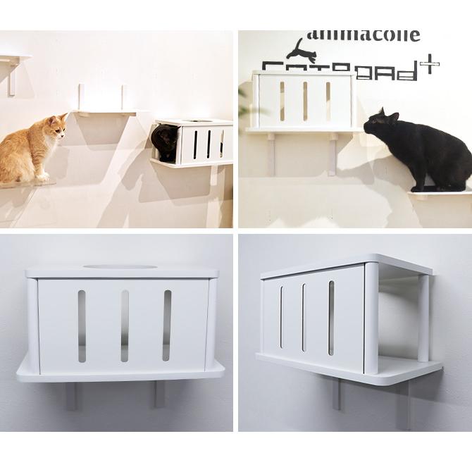 猫 賃貸 小さい穴 キャットステップ トンネル キャットタワー キャット