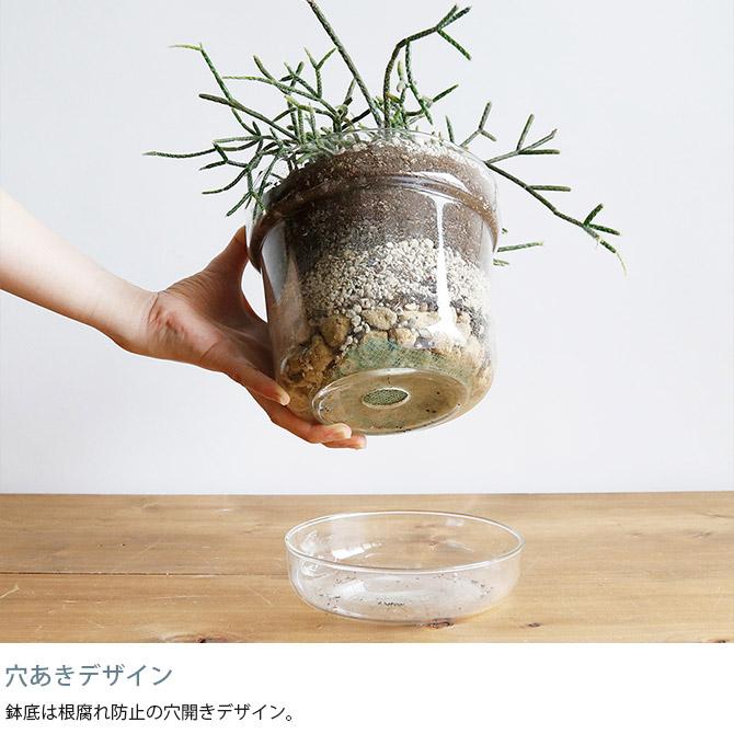ポット 植木鉢 ガラス 5.5号鉢 おしゃれ shesay シセイ リューズ