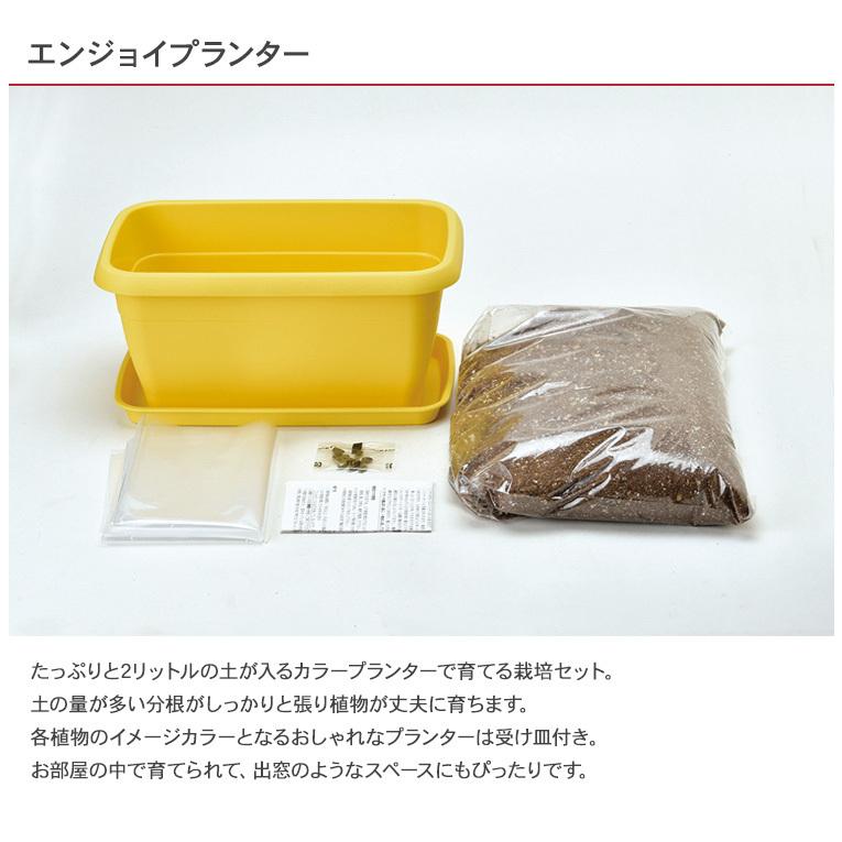 ガーデニング 栽培キット 室内 食育 育てる 家庭菜園 花 野菜 ひまわり 向日葵 手作り 工作 キット ハンドメイド 栽培キット エンジョイプランター Mbm 0599 Rooming 通販 Yahoo ショッピング
