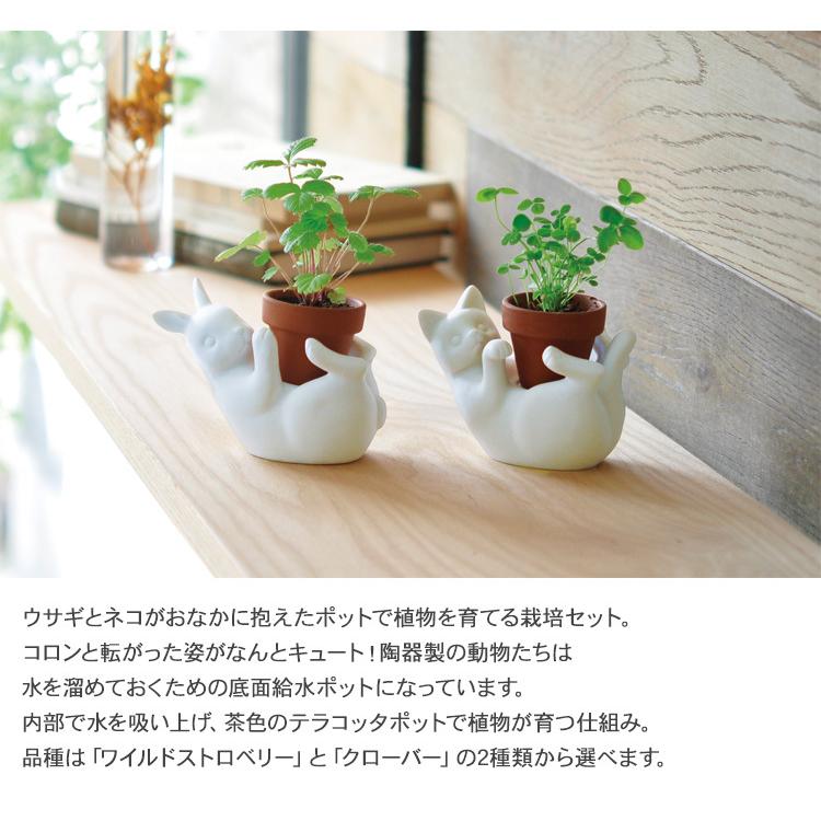 ガーデニング 栽培キット 室内 食育 育てる 家庭菜園 ハーブ 野菜 果物 手作り 工作 キット ハンドメイド 栽培キット ポットフレンズ Mbm 0601 Rooming 通販 Yahoo ショッピング