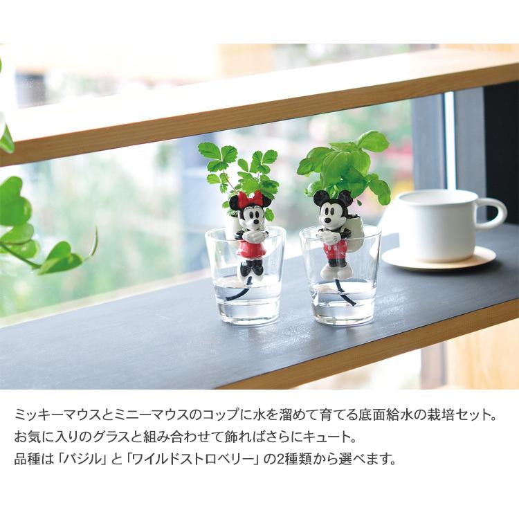 ガーデニング 栽培キット 室内 食育 育てる 家庭菜園 ハーブ 野菜 工作 ハンドメイド 果物 手作り グローニーテーブル Disney 出色 キット