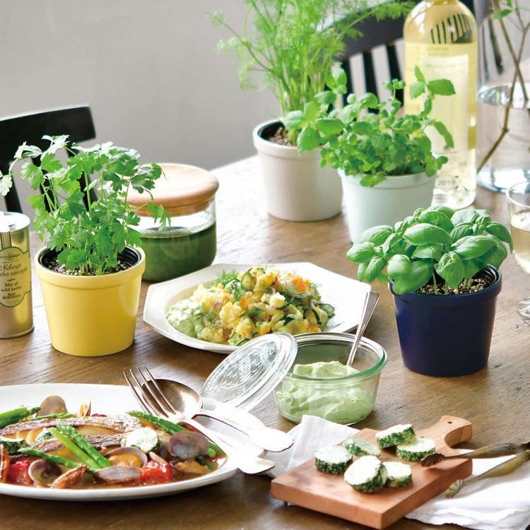 ガーデニング 栽培キット 室内 食育 育てる 家庭菜園 ハーブ 野菜 薬味 インテリア ハーブ栽培セット レシピ付き ラッピング対応 Mbm 0993 Rooming 通販 Yahoo ショッピング