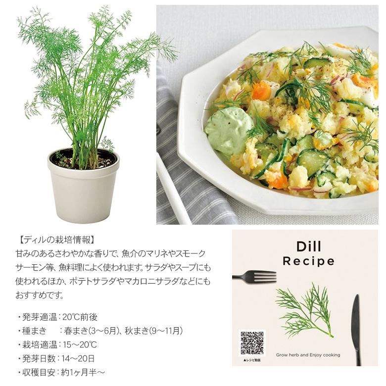 100 本物 聖新陶芸 レシピ付き栽培セット Gd951 3 バジル 園芸用品 ミニ盆栽 栽培キット 東急ハンズ Riosmauricio Com