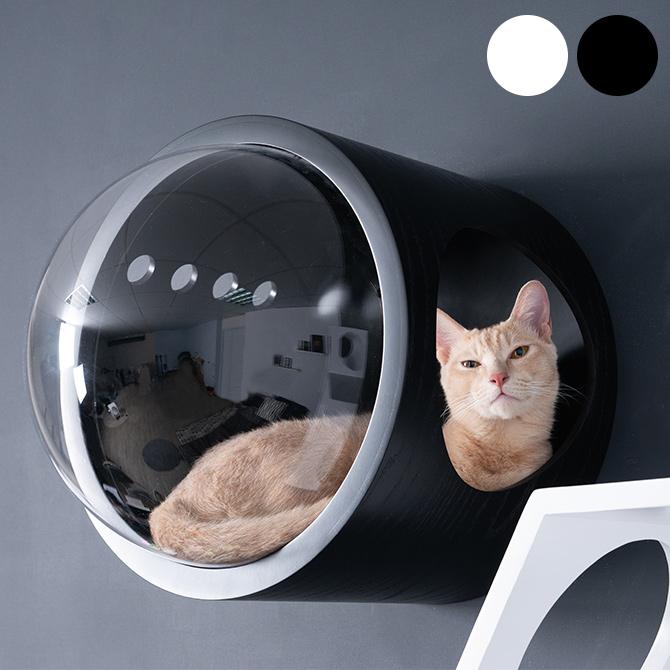 猫 キャットウォーク キャットステップ ベッド ハウス MYZOO マイズー