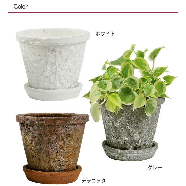 テラコッタ 植木鉢 陶器 白 フラワーポット 素焼き鉢 F15cm Mpg 0508 Rooming 通販 Yahoo ショッピング