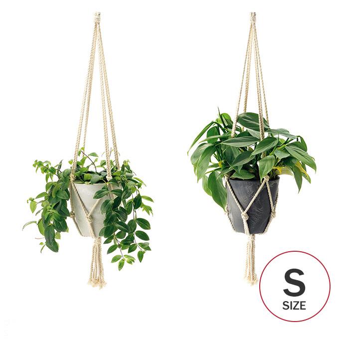 ハンギングポット 鉢 植木鉢 プラスチック 吊り下げ 植物 グリーン フェイクグリーン ハンギング プランター ボタニカル 15型 Mpg 3737 Rooming 通販 Yahoo ショッピング