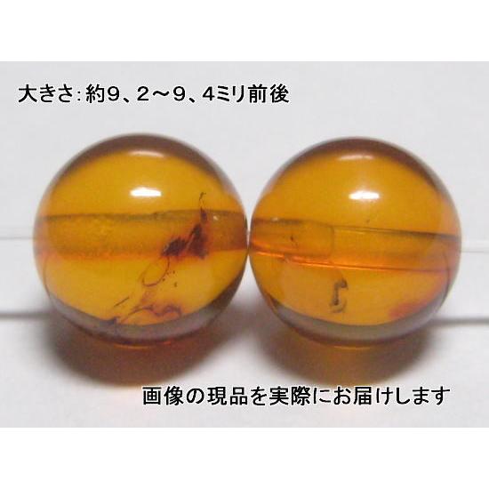 NO.7 天然琥珀(アンバー) 9ミリ(2粒入り)＜長寿・精神安定＞ 大玉
