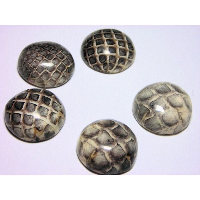 半丸 ヘビ皮 封入ビーズ 17〜18mm (2ヶ) | 