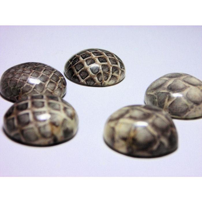 半丸 ヘビ皮 封入ビーズ 17〜18mm (2ヶ) |  | 01