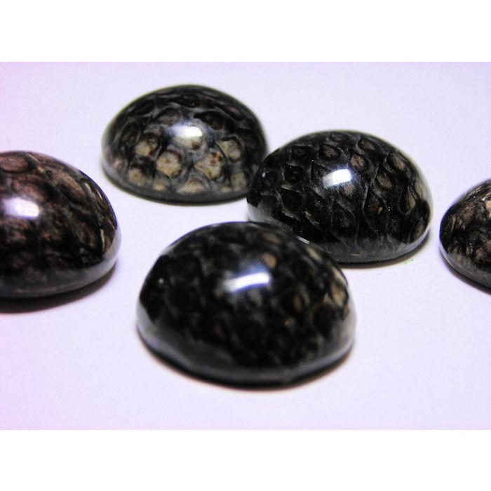 半丸 ヘビ皮 封入ビーズ 17〜18mm (2ヶ) |  | 03