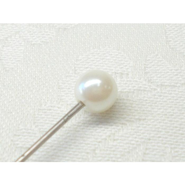 片穴 プラ パール 6mm ライト キスカ 10ヶ ビーズ アンド パーツ アクセサリー ハンドメイド イヤリング ピアス 用 ショップ Ｊ４ |  | 02