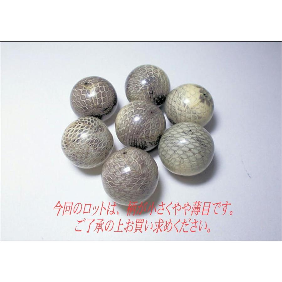 ヘビ皮封入ビーズ　22mm | 