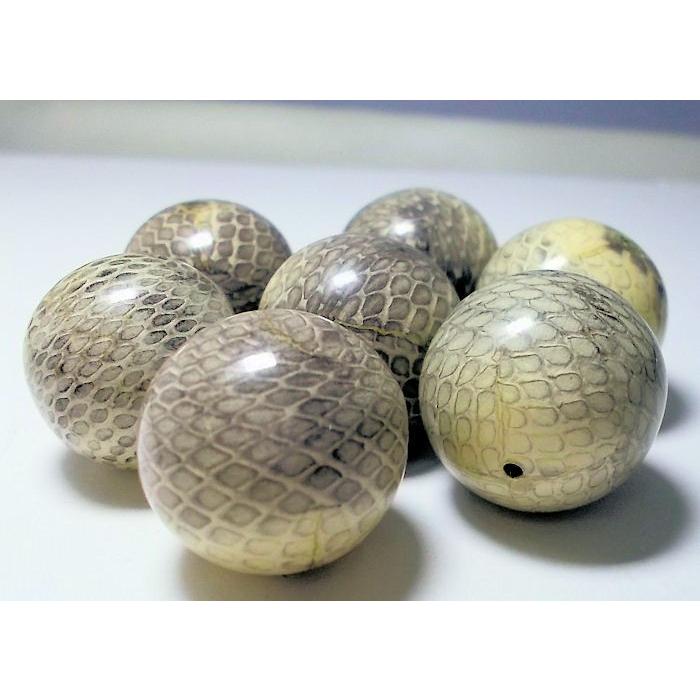 ヘビ皮封入ビーズ　22mm |  | 01
