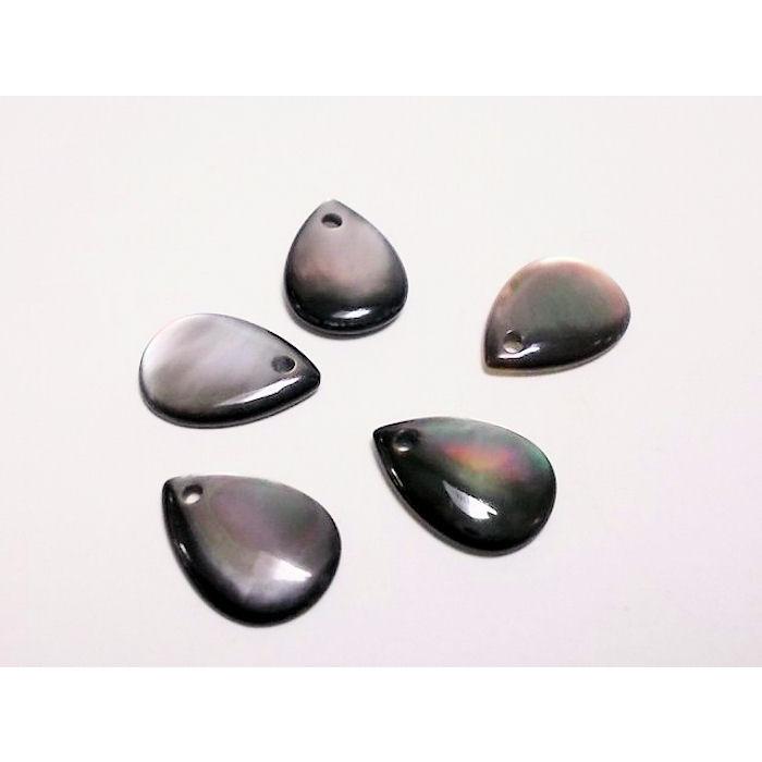 シェルパーツ　ツユ　8×12mm 　(5ヶ) | 