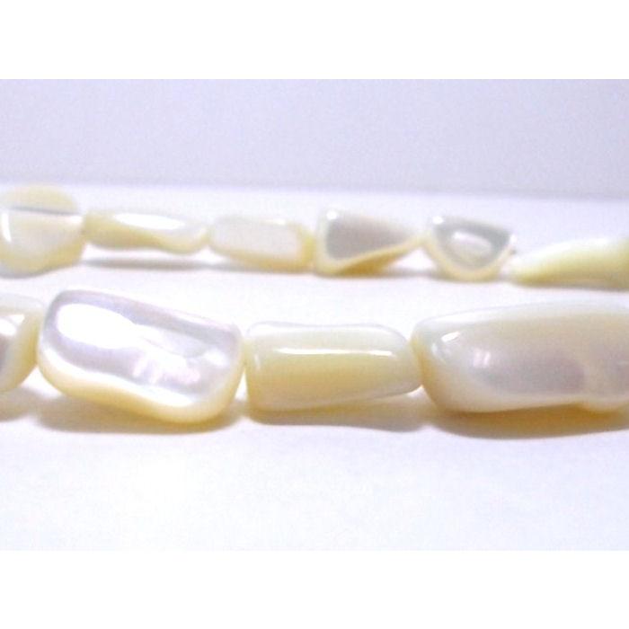 タカセ貝ナゲット 8〜15×7〜12mm　白 ( 20cm ) |  | 02