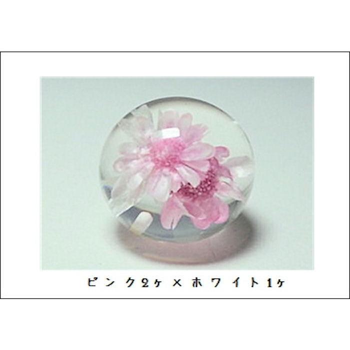 ポリ封入18mm　片穴 |  | 01