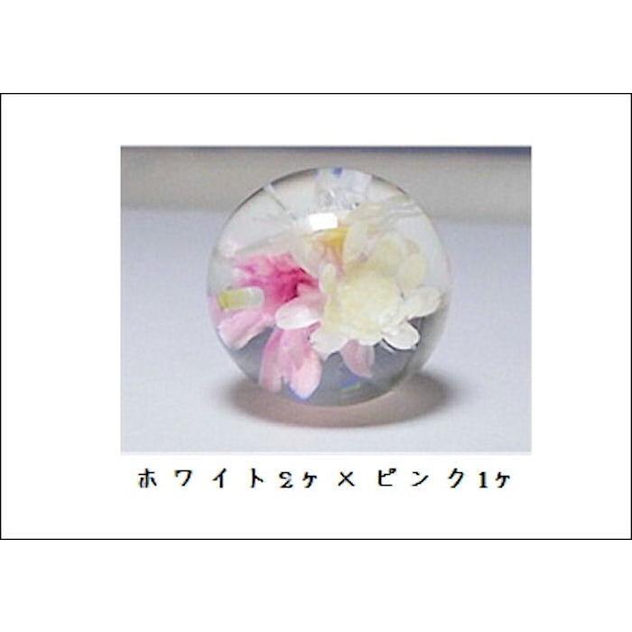 ポリ封入18mm　片穴 |  | 02