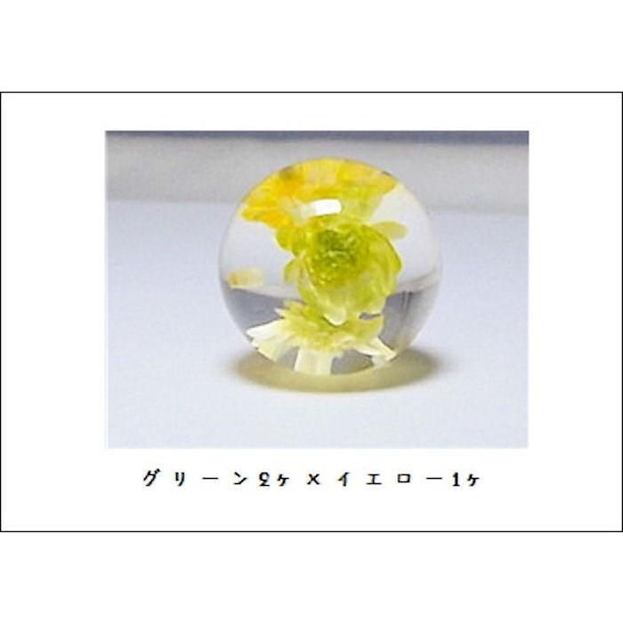ポリ封入18mm　片穴 |  | 05