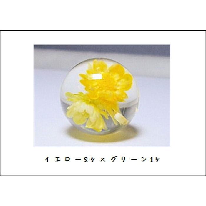 ポリ封入18mm　片穴 |  | 06