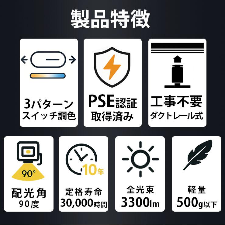 LED投光器 ダクトレール スポットライト 電球色 昼光色 黒 白 30W IP65 屋内 屋外 防塵 耐塵 防水 LEW030DRII ビームテック | Beamtec | 05