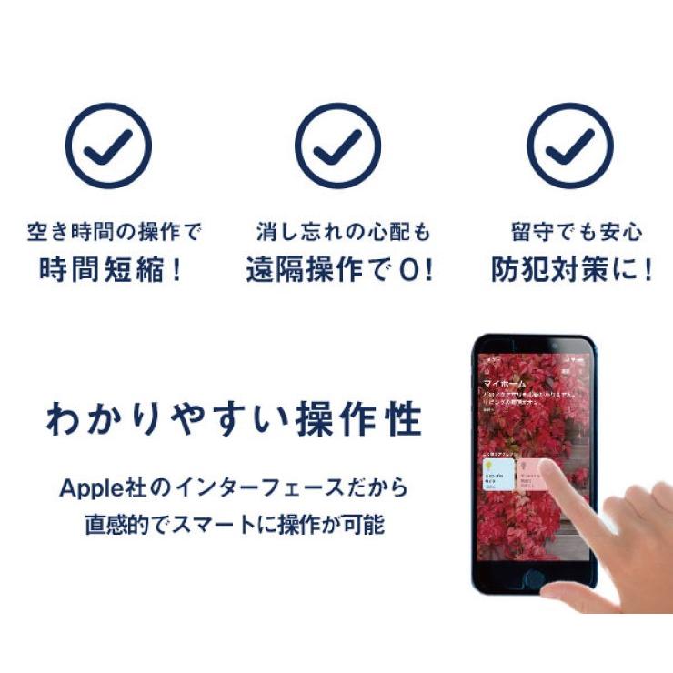 Beamtec（ビームテック） シーリングライト スマートトークライコン