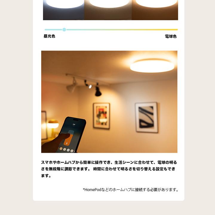 Beamtec（ビームテック） スマート LEDシーリングライト 6畳 12畳 調光