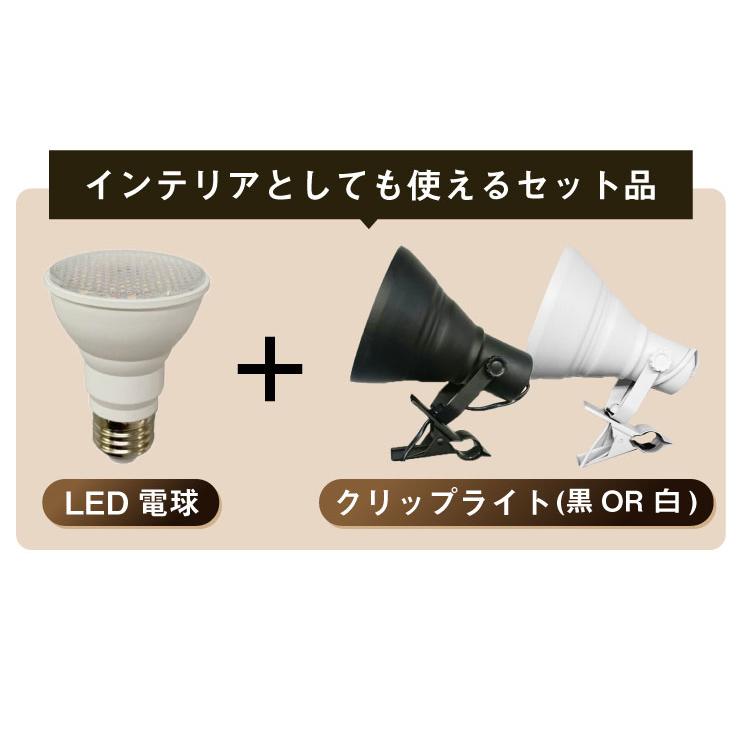 Beamtec（ビームテック） LED 植物育成 水耕栽培 LEDライト 観葉 植物
