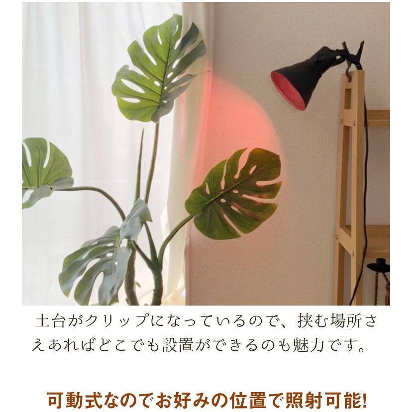 Beamtec（ビームテック） LED 植物育成 水耕栽培 LEDライト 観葉 植物