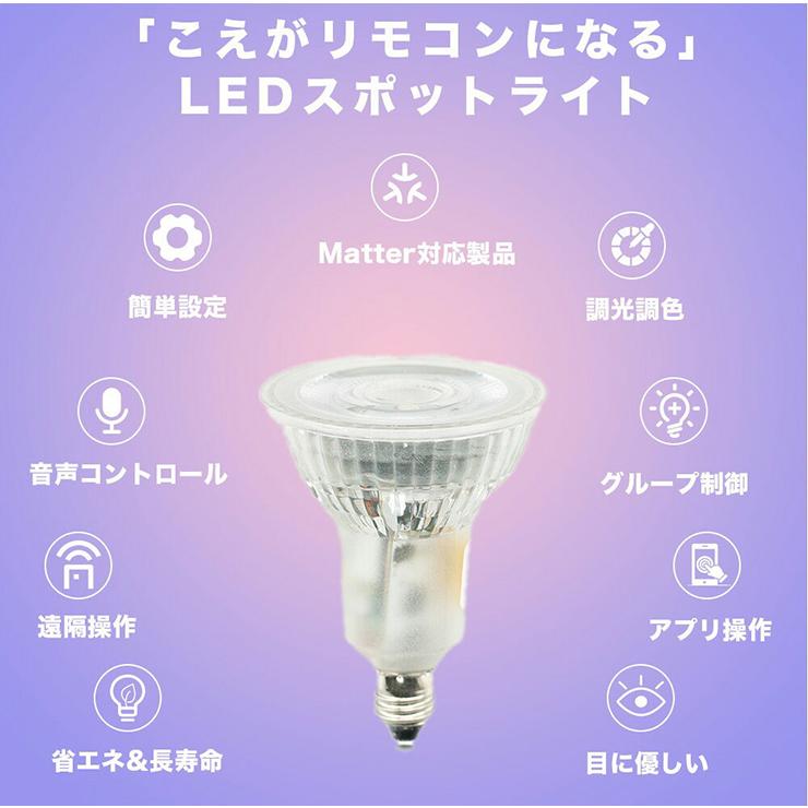 ダクトレール スポットライト 照明 ライト レールライト E11 LED電球付き 50W 相当 38度 調光 調色 音声 認識 ライト Alexa こえりも Matter | Beamtec | 09