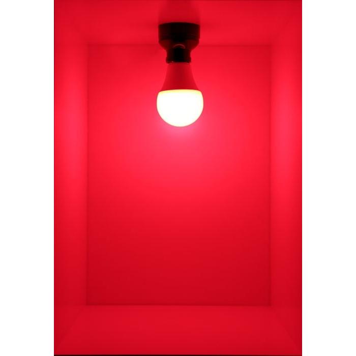 Beamtec（ビームテック） LED電球 E26 カラー電球 赤 レッド 緑