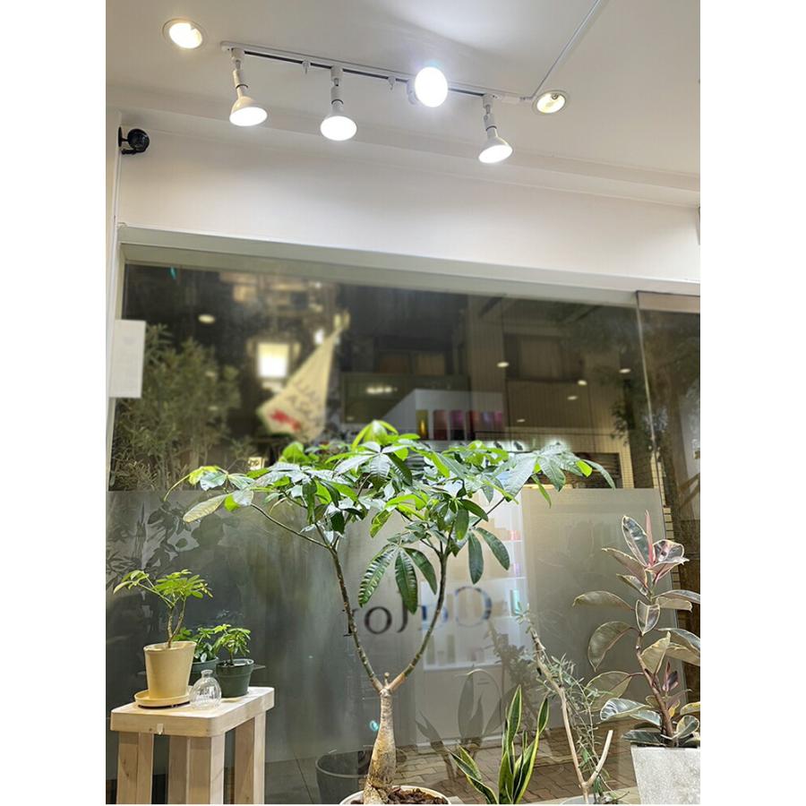 Beamtec（ビームテック） LED スポットライト 高演色 Ra95 ビーム球