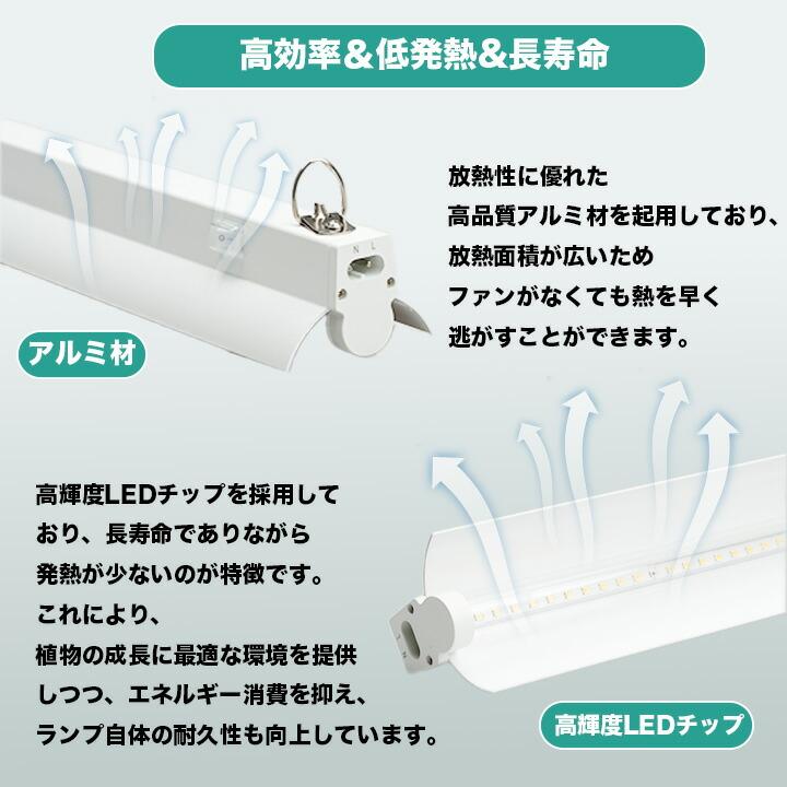 Beamtec（ビームテック） LED植物育成ライト 卓上育成ライト 卓上 植物