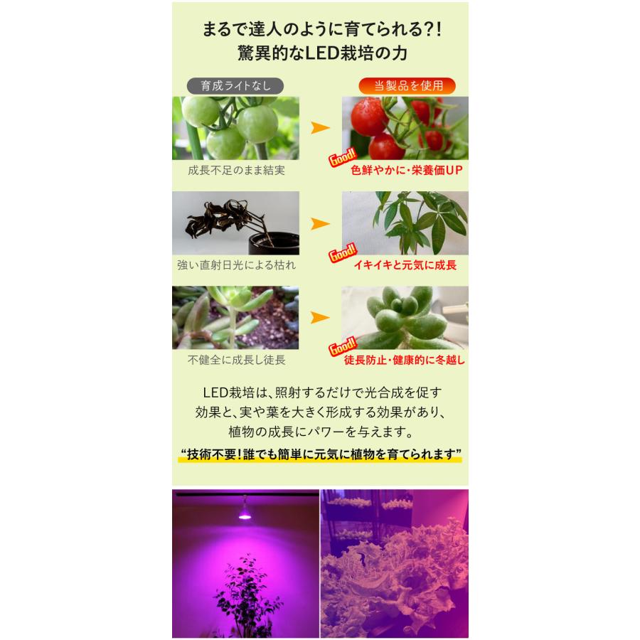 4個セット 植物育成LED 口金E26 ビーム球 植物栽培ライト ビーム角80度散光形 ガーデニング 家庭菜園 水耕栽培 ランプ 防湿 防雨 屋外 屋内兼用 LG13W-PAR38--4｜beamtec｜03