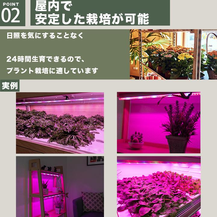 Beamtec 25本セット LED 植物育成 水耕栽培 LEDライト 観葉 植物