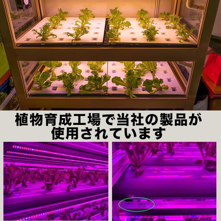 Beamtec LED 植物育成 水耕栽培 LEDライト 観葉 植物 育成