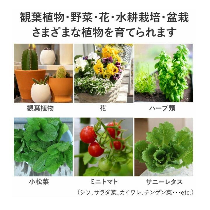 Beamtec（ビームテック） LED 植物育成ライト LED 蛍光灯 40W 器具一