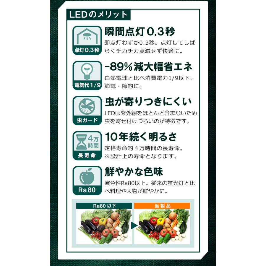 ガーデンライト 屋外 防水 IP65 5W LSG-5 ビームテック | Beamtec | 11