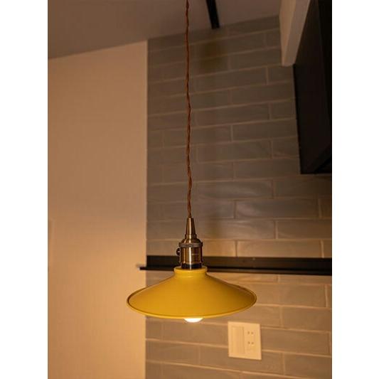 ペンダントライト 1灯 E26 LED おしゃれ 天井照明 照明 照明器具 バイカラー PENDANT-SET | Beamtec | 11