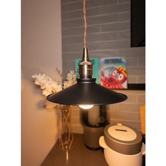 ペンダントライト 1灯 E26 LED おしゃれ 天井照明 照明 照明器具 バイカラー PENDANT-SET | Beamtec | 06